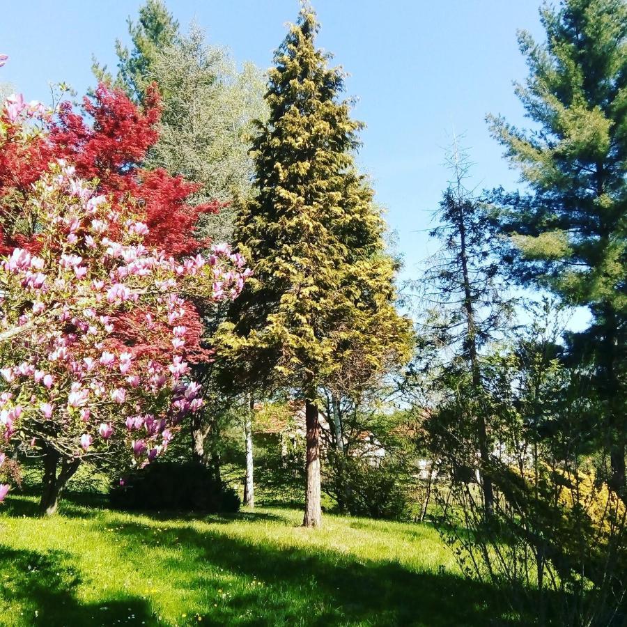 Takovo - Odmor U Selu Gornji Milanovac Exterior foto