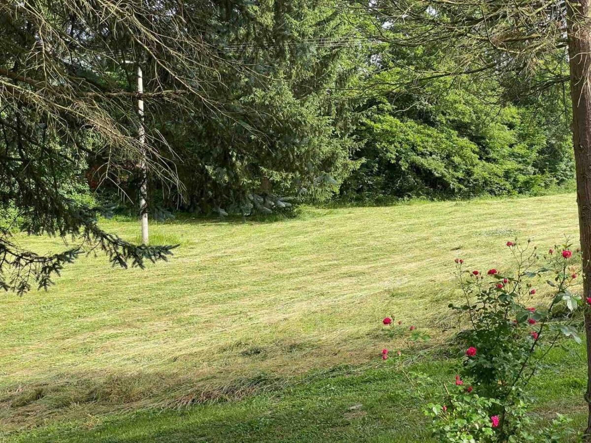 Takovo - Odmor U Selu Gornji Milanovac Exterior foto