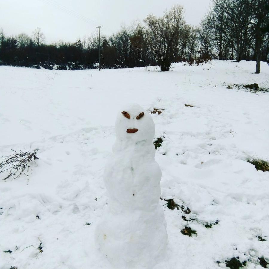 Takovo - Odmor U Selu Gornji Milanovac Exterior foto