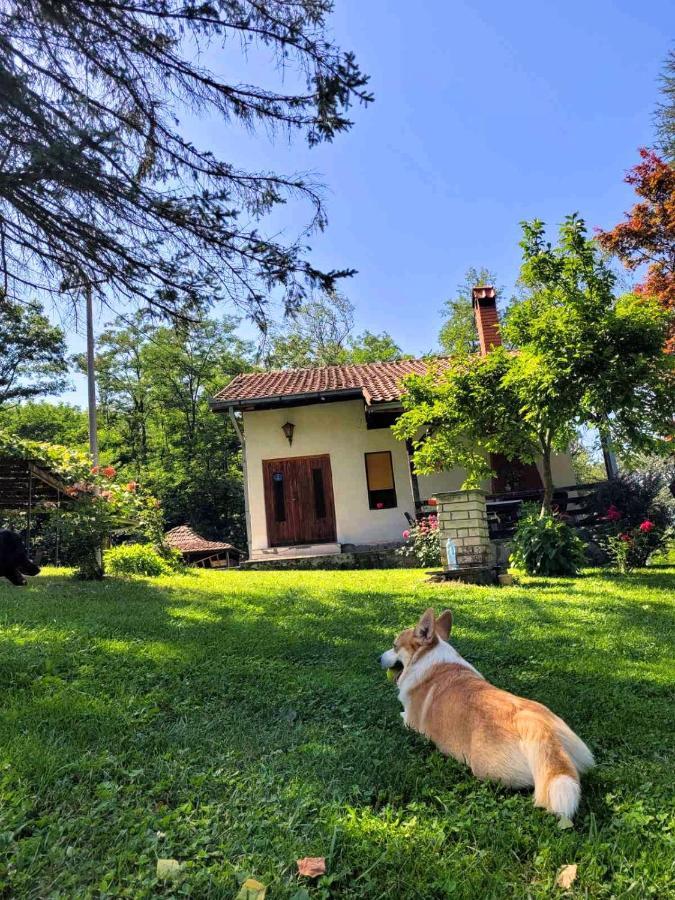 Takovo - Odmor U Selu Gornji Milanovac Exterior foto