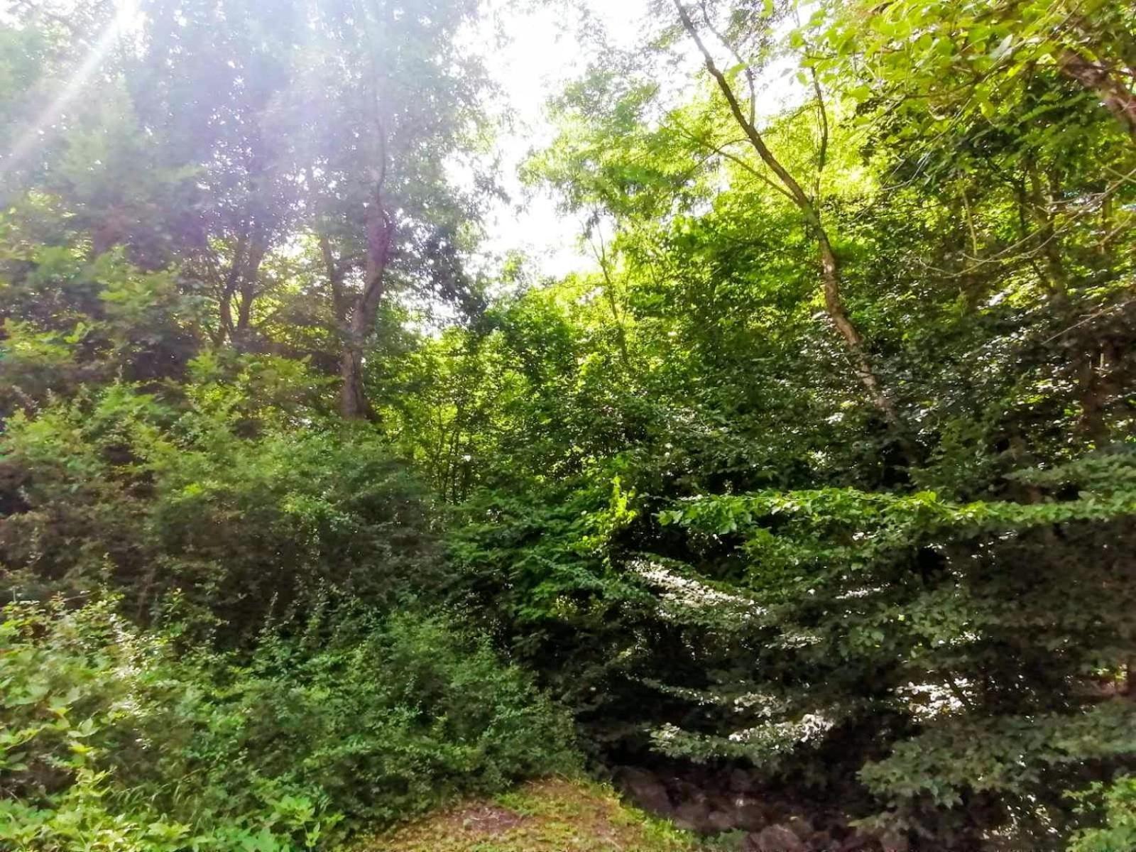 Takovo - Odmor U Selu Gornji Milanovac Exterior foto